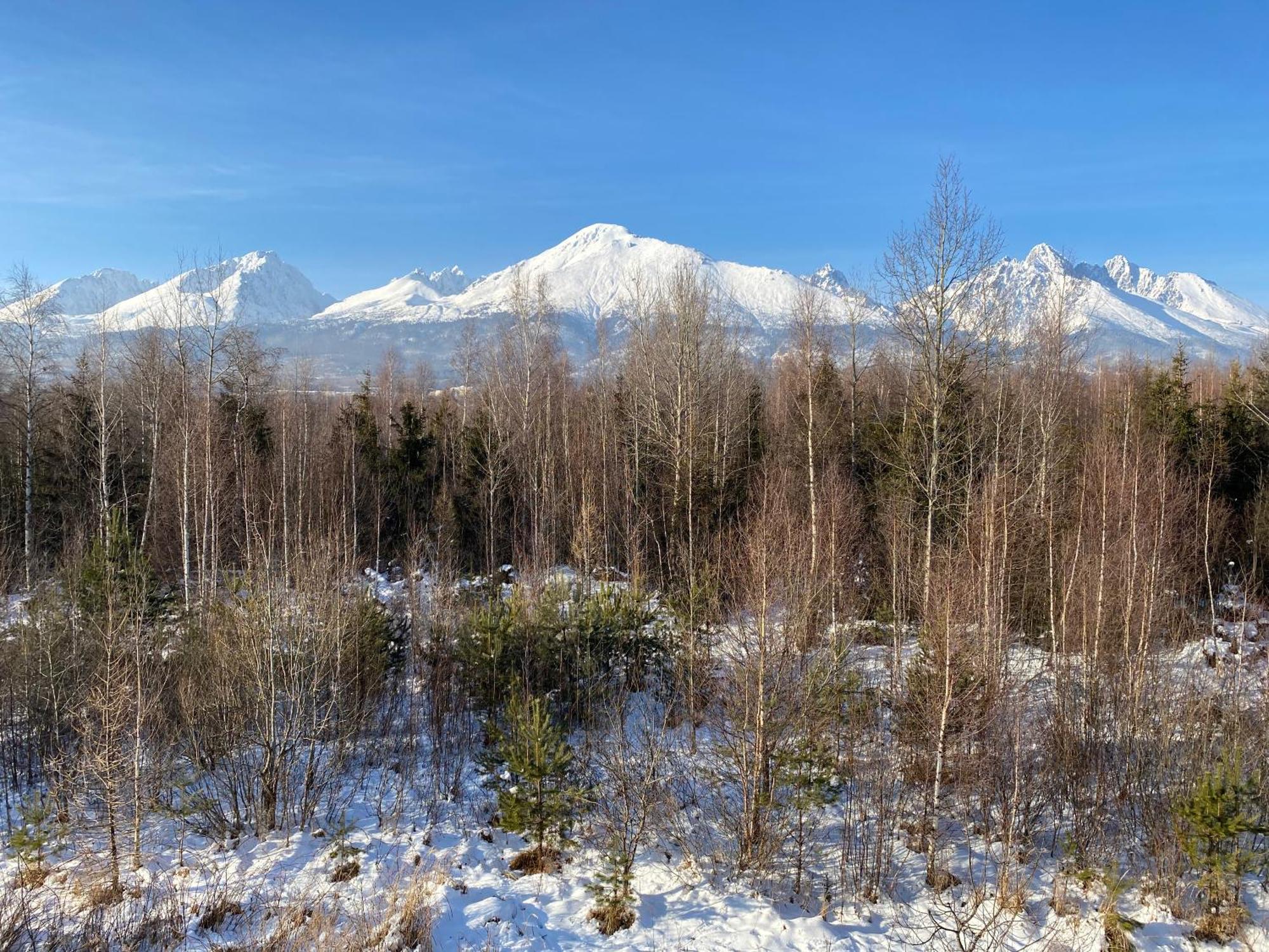 Veľký Slavkov Apartman S Nadhernym Vyhladom Na Tatry מראה חיצוני תמונה